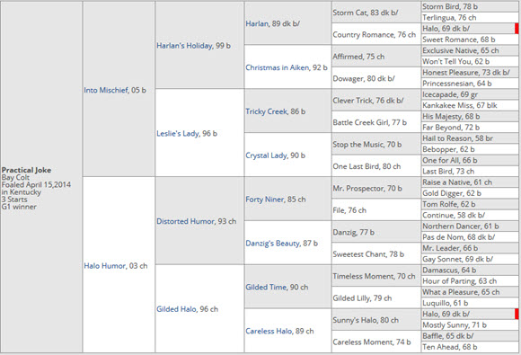 Practical Joke pedigree profile